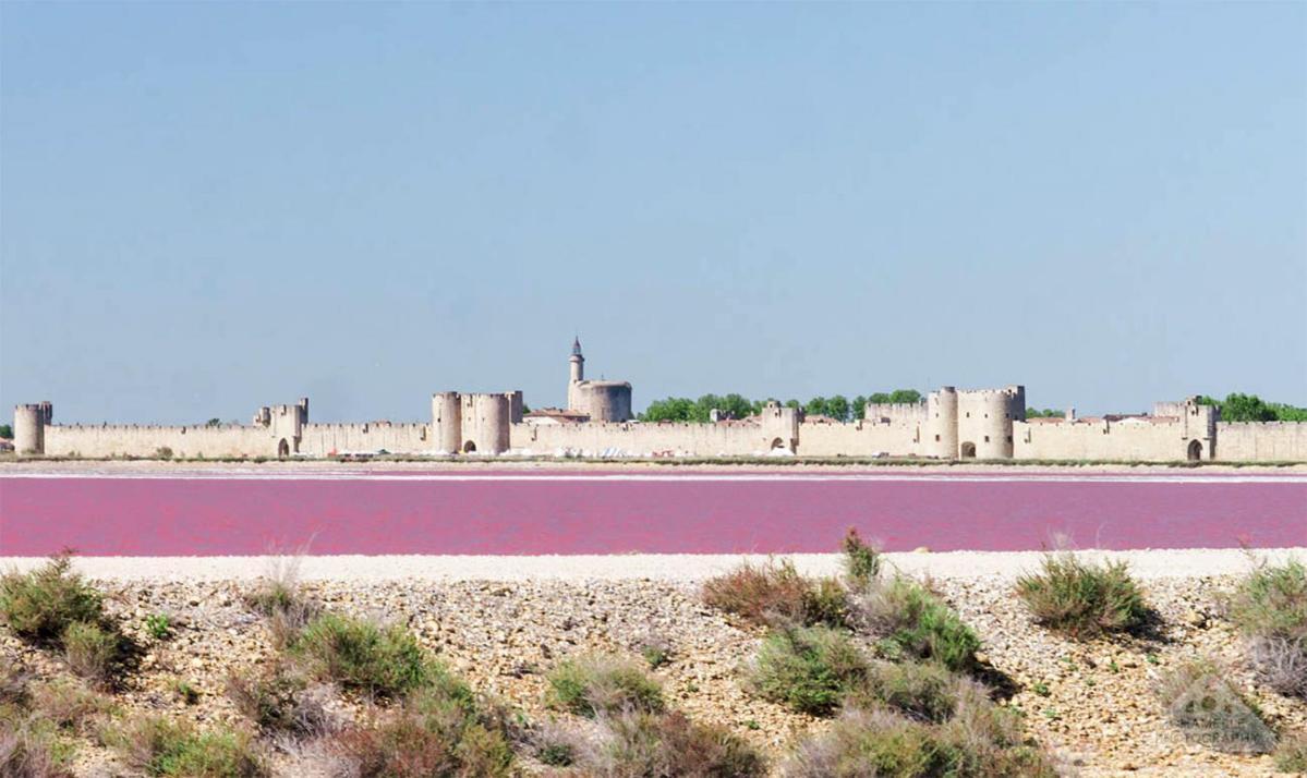 Marina Aigues-Mortes **** المظهر الخارجي الصورة